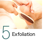 5．Exfoliation